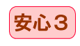 安心3